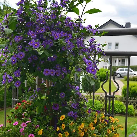 Daire Modern In Bodefeld With Private Garden Schmallenberg